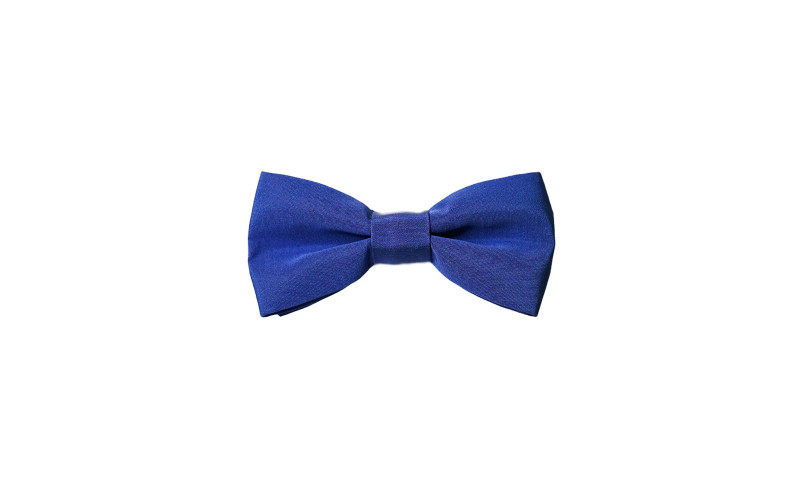 Papillon Blu in Tessuto Classico