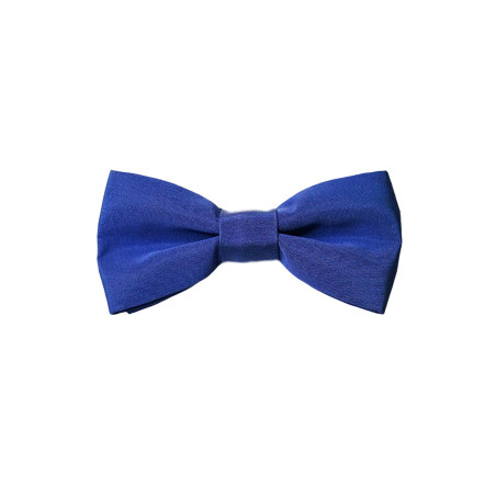 Papillon Blu in Tessuto Classico