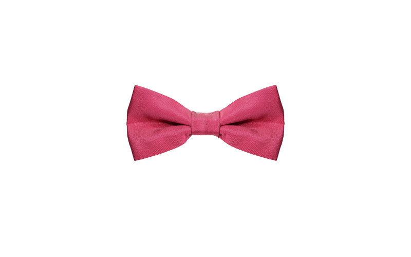 Papillon rosa in Tessuto Classico elegante nella scatola Freestyle Outfit