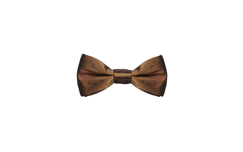 Papillon Bronzo in Raso elegante