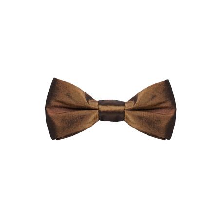Papillon Bronzo in Raso elegante