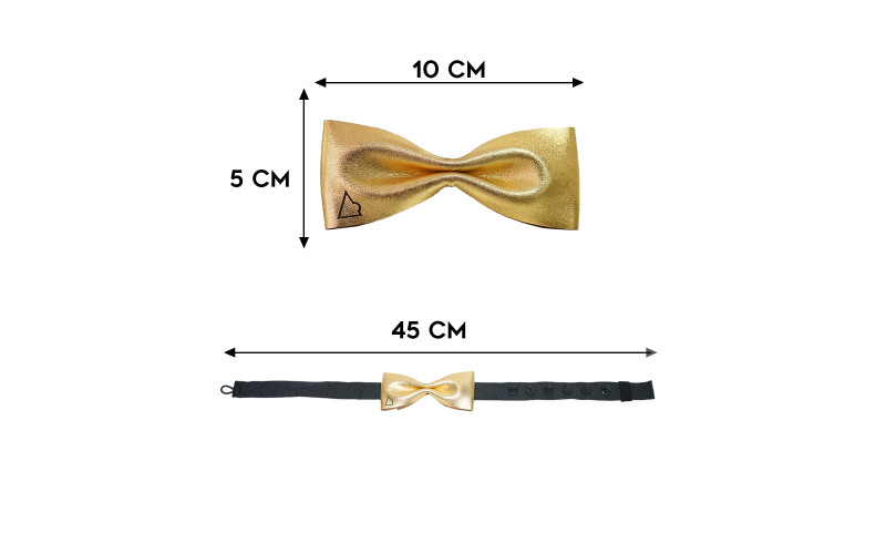 Papillon in Oro Leather Pussy misure