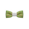 Papillon Trama Verde