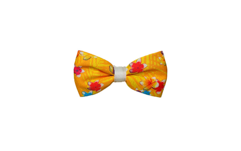Papillon con Fiori Piccoli Arancioni casual