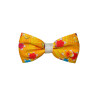 Papillon con Fiori Piccoli Arancioni casual