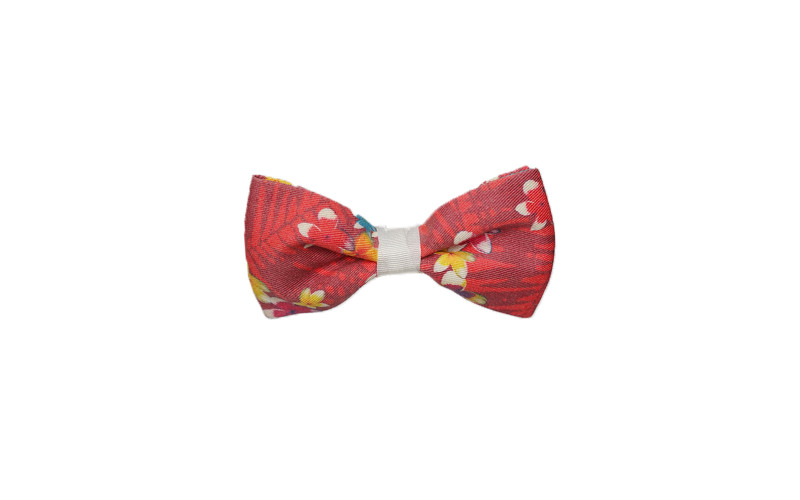 Papillon con Fiori Piccoli Rossi casual