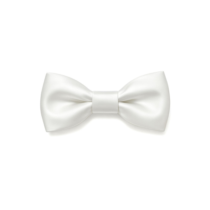 Papillon seta bianco uomo - Freestyle Outfit