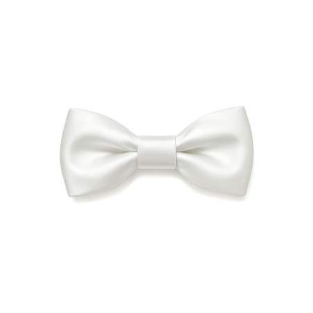 Papillon seta bianco uomo - Freestyle Outfit