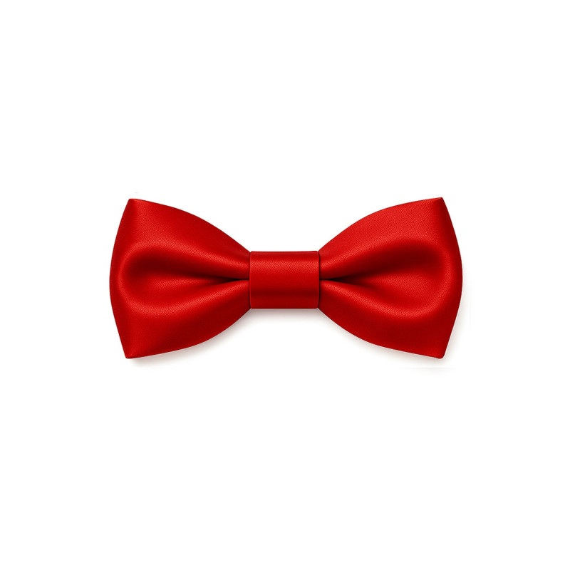 Papillon Classico in Seta Rossa - Freestyle Outfit