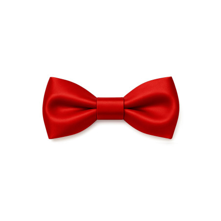 Papillon Classico in Seta Rossa - Freestyle Outfit