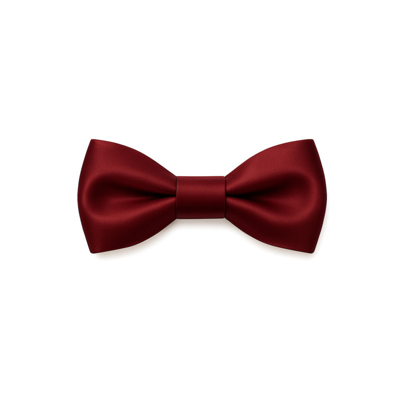 Papillon bordeaux seta da uomo - Freestyle Outfit