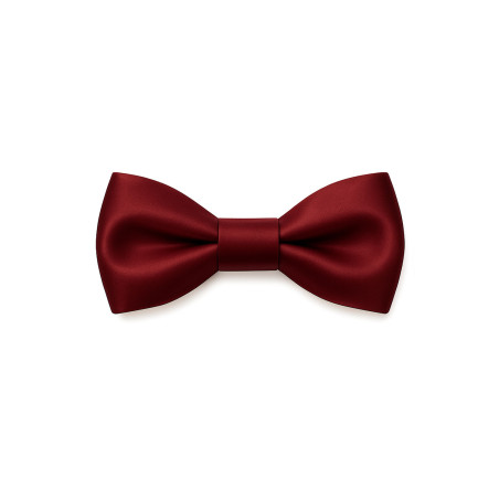 Papillon bordeaux seta da uomo - Freestyle Outfit