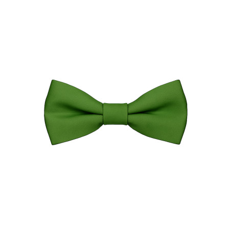 Papillon verde classico da uomo - Freestyle Outfit