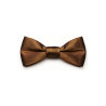 Papillon bronzo classico da uomo - Freestyle Outfit