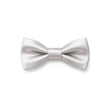 Papillon argento in seta da uomo - Freestyle Outfit