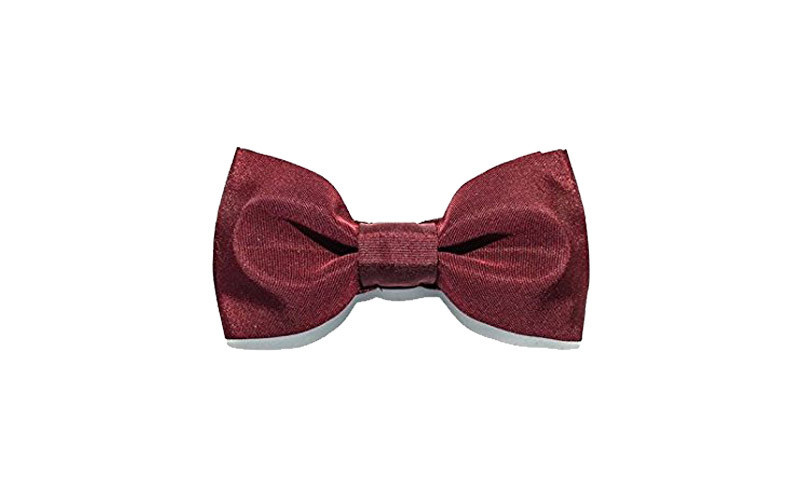 Papillon Bordeaux in Seta da uomo - Freestyle Outfit