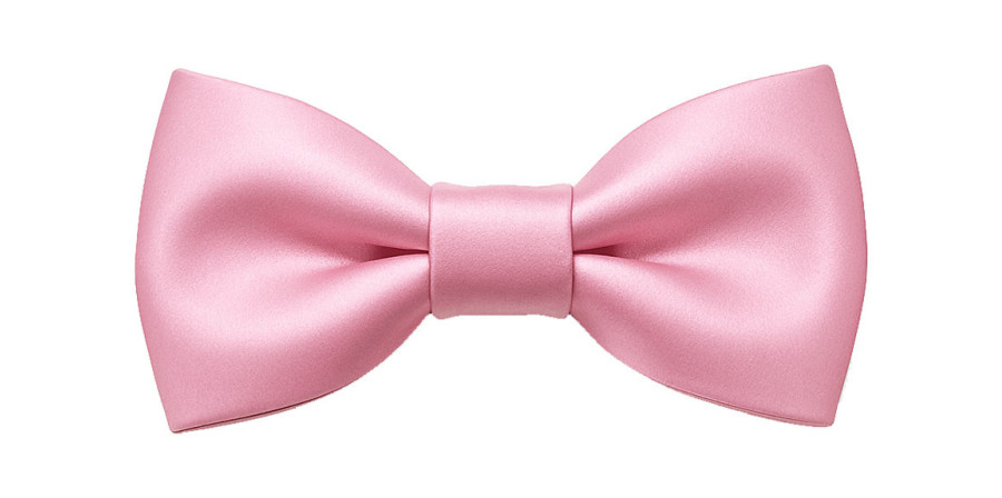 Papillon rosa