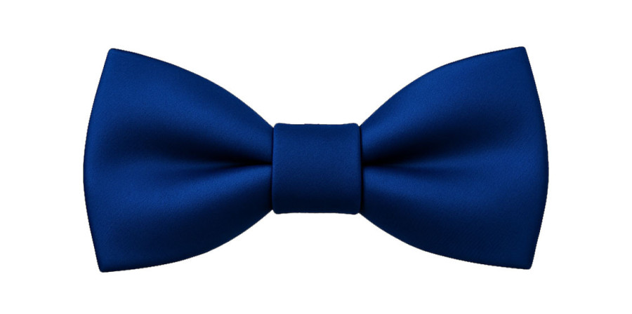 Papillon blu