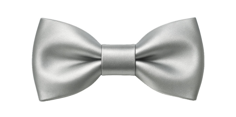 Papillon argento