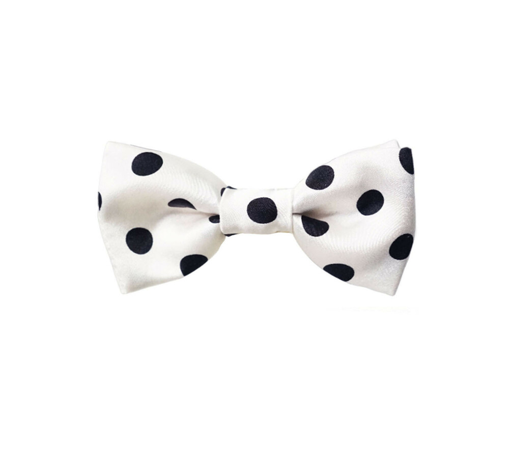 Papillon bianco: L'Eleganza senza Tempo del Dandy Moderno