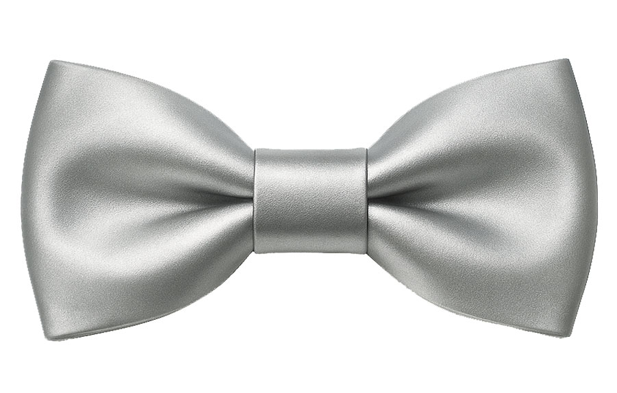 Papillon argento